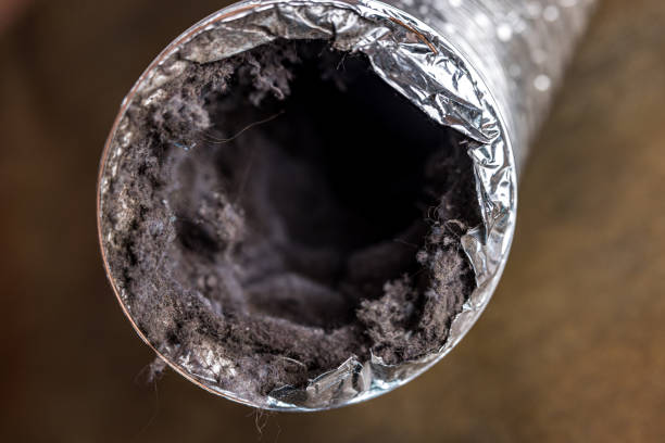 Professional Airduct Cleaning in Floral City, FL